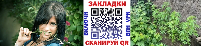 Какие есть наркотики Михайлов Cocaine  Меф мяу мяу 